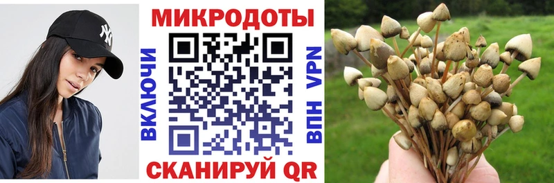 Галлюциногенные грибы GOLDEN TEACHER  Калининец 